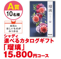 シャディ選べるカタログギフト「瑠璃」15800円コース